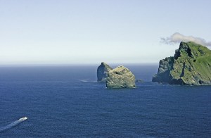 St Kilda, Hebridene  (foto: Kirsti Jareg)