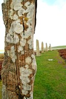 Ring o'Brodgar, Orknøyene